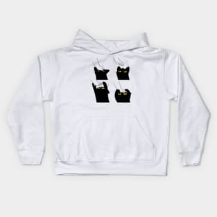 Spoiled kitty cute little cat lover Kids Hoodie